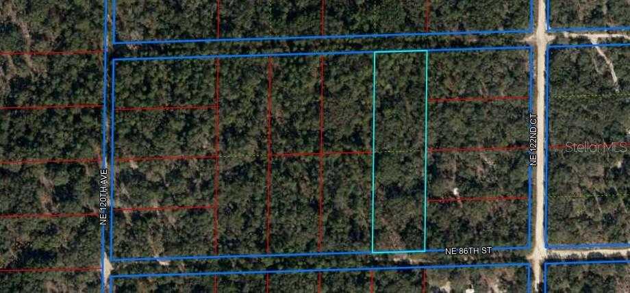 photo 1: NE 86 STREET, BRONSON FL 32621