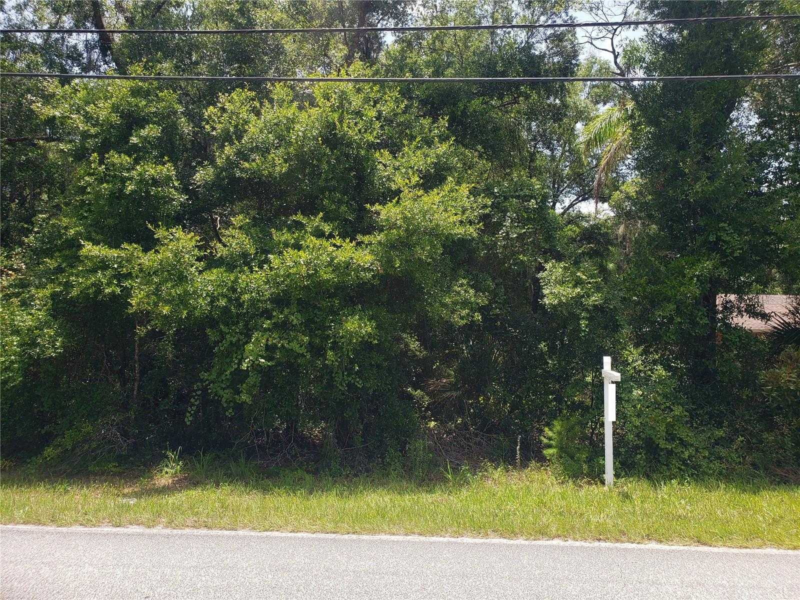 photo 3: REYNOLDS ROAD, DE LEON SPRINGS FL 32130