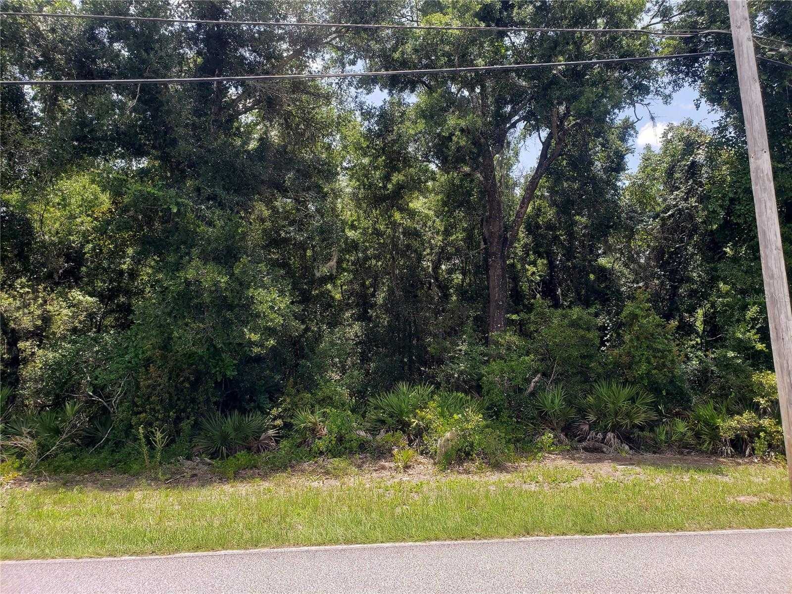 photo 2: REYNOLDS ROAD, DE LEON SPRINGS FL 32130