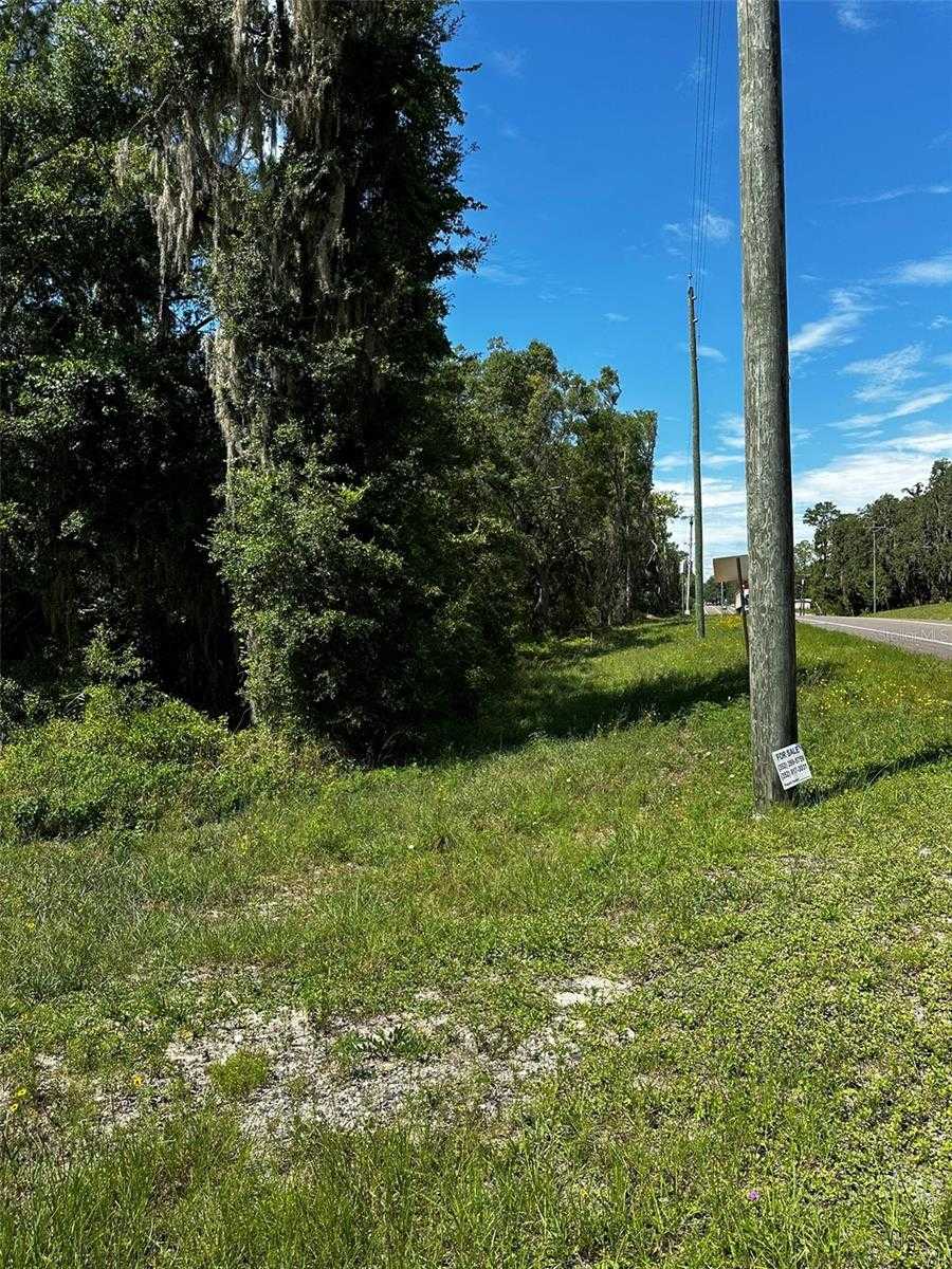 photo 1: E THRASHER DRIVE, BRONSON FL 32621