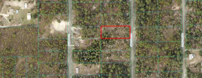 photo 1: SW FIG TREE LANE, DUNNELLON FL 34431