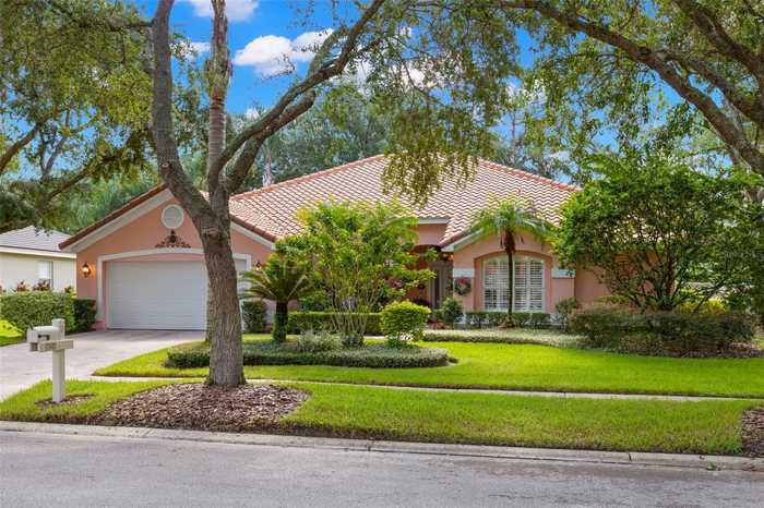 photo 1: 17803 HICKORY MOSS PLACE, TAMPA FL 33647