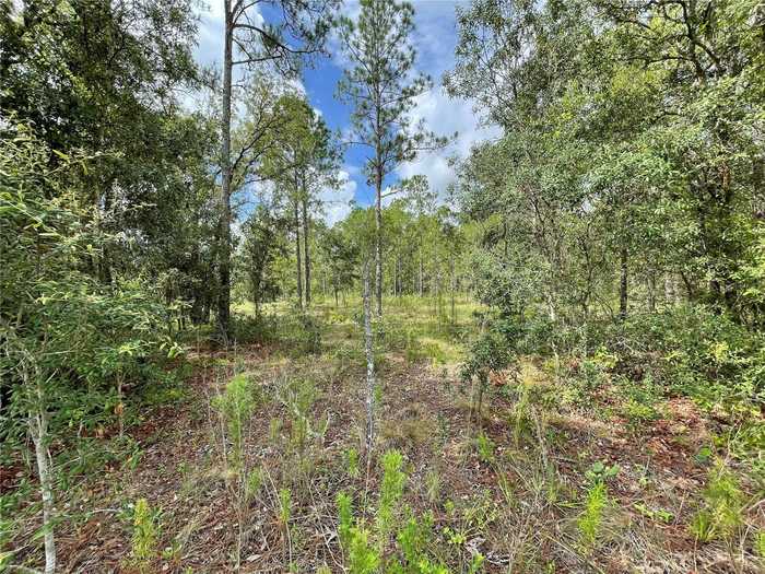 photo 2: Lot 21 SE 21 STREET, MORRISTON FL 32668