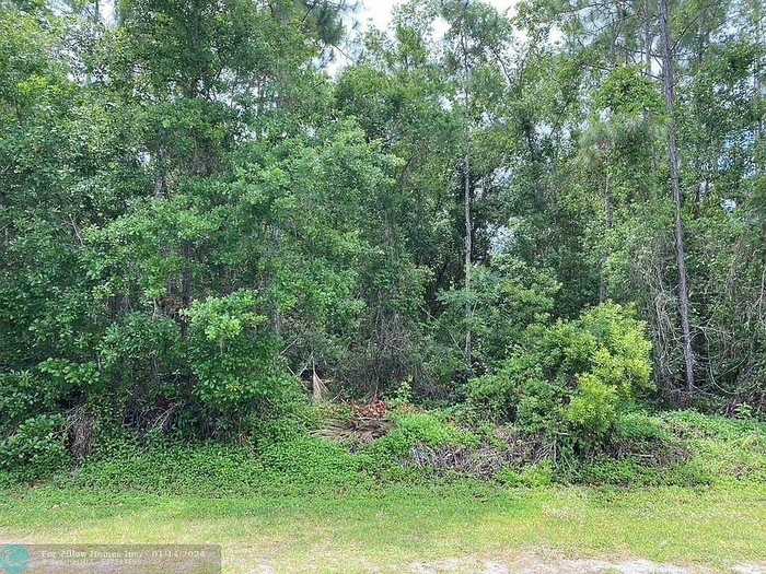 photo 1: BELMONTE DRIVE, INDIAN LAKE ESTATES FL 33855