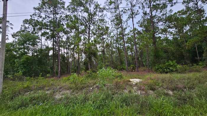 photo 1: GARDENIA DRIVE, INDIAN LAKE ESTATES FL 33855