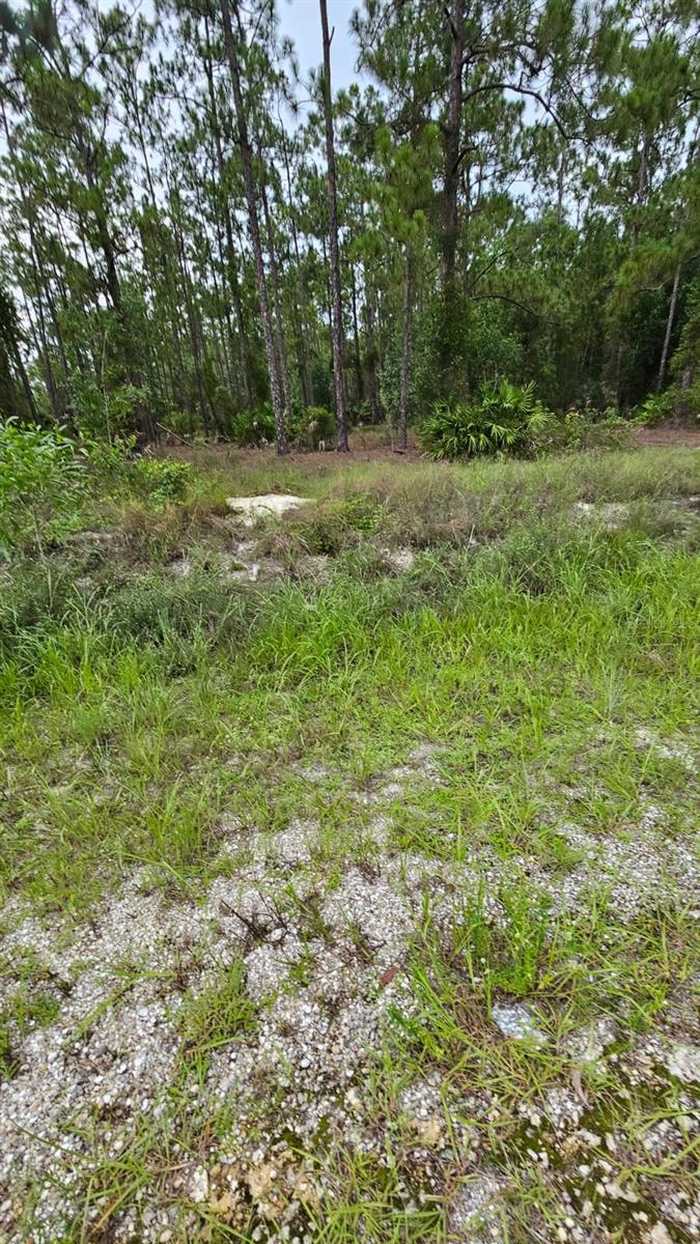 photo 1: EL DORADO DRIVE, INDIAN LAKE ESTATES FL 33855