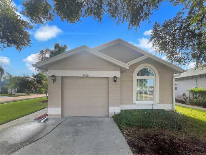 photo 1: 8615 TWIN FARMS PLACE, TAMPA FL 33635