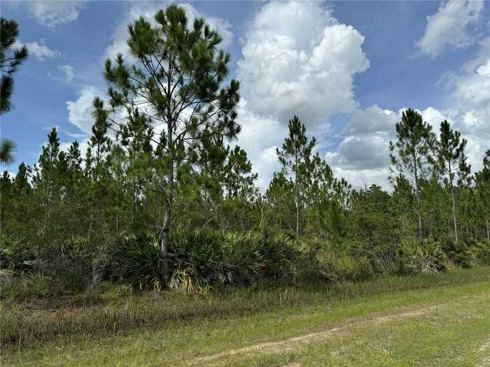 photo 2: 3621 CALENDULA DRIVE, INDIAN LAKE ESTATES FL 33855