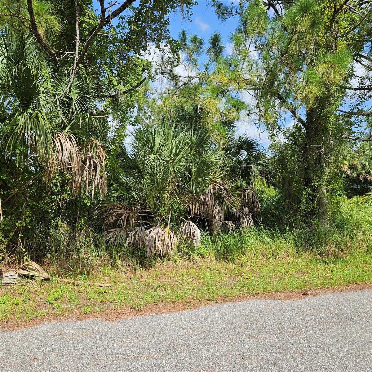 photo 3: Lot 4 SELOVER ROAD, NORTH PORT FL 34287