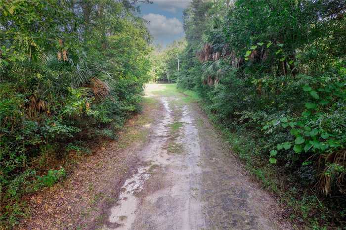 photo 2: 350 SE BALD EAGLE LOOP, LAKE CITY FL 32025