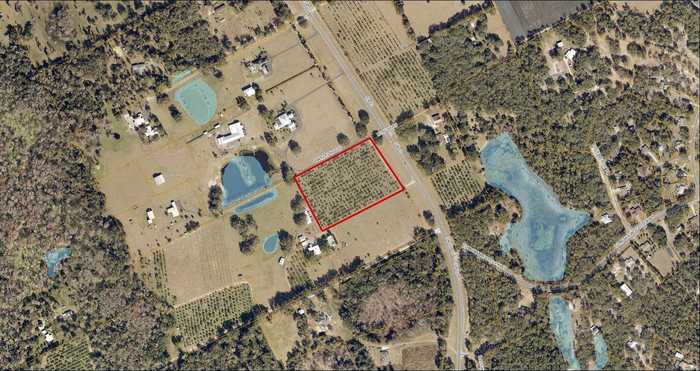 photo 2: 4750 SR-11, DE LEON SPRINGS FL 32130