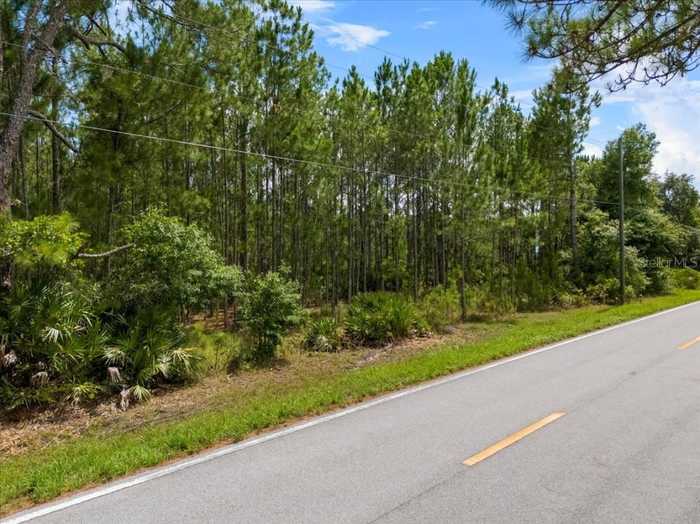 photo 1: POYNER OAKS ROAD N, POLK CITY FL 33868