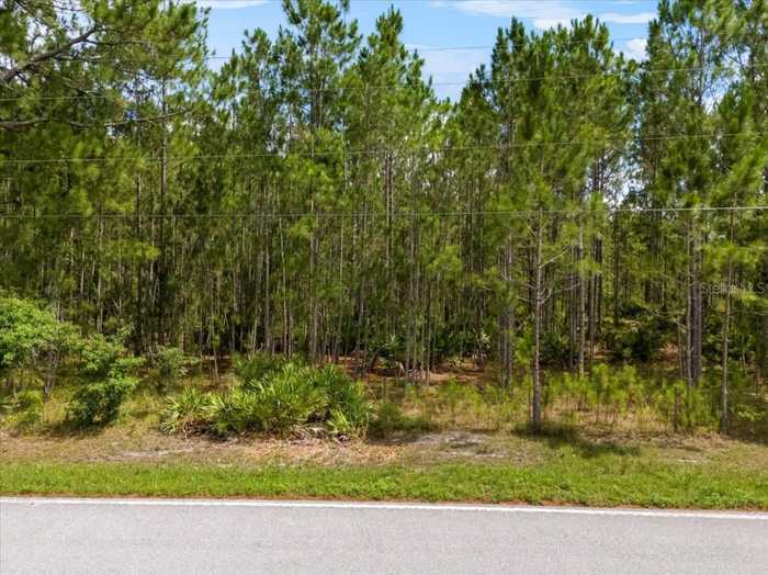 photo 6: POYNER OAKS ROAD N, POLK CITY FL 33868