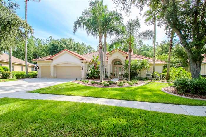 photo 1: 17812 ARBOR GREENE DRIVE, TAMPA FL 33647