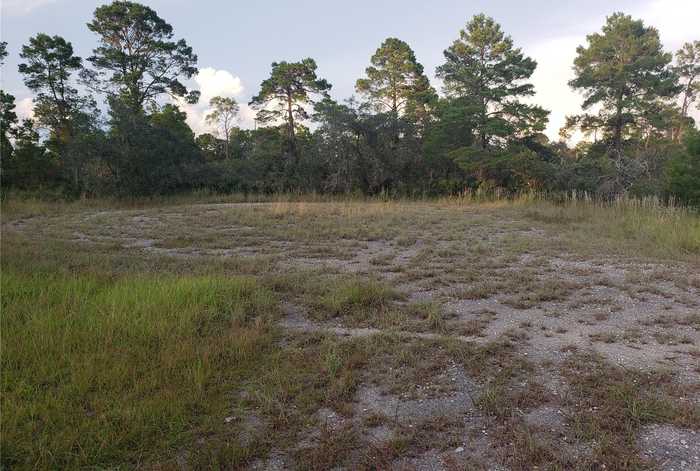 photo 1: 1251 POPINJAY AVENUE, LAKE PLACID FL 33852