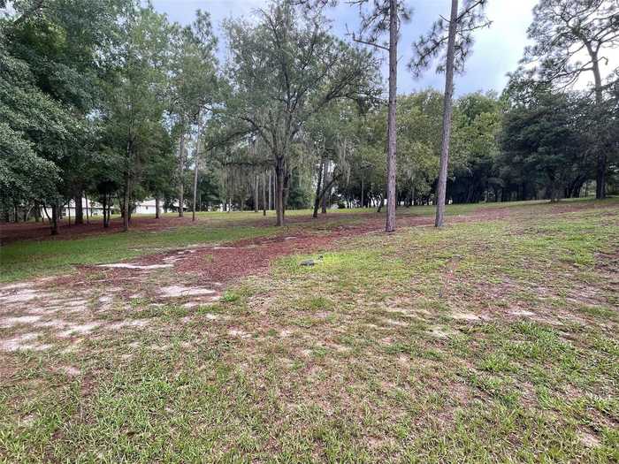 photo 5: Lot 17 SW 194TH CIRCLE, DUNNELLON FL 34432