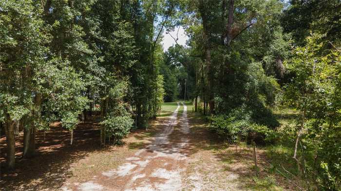 photo 15: SW 1ST STREET, MICANOPY FL 32667