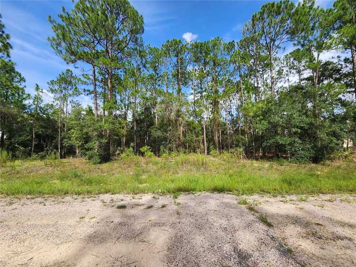 photo 1: 6457 N BAYLOR TERRACE, DUNNELLON FL 34433