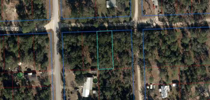 photo 2: NE 67TH STREET, BRONSON FL 32621