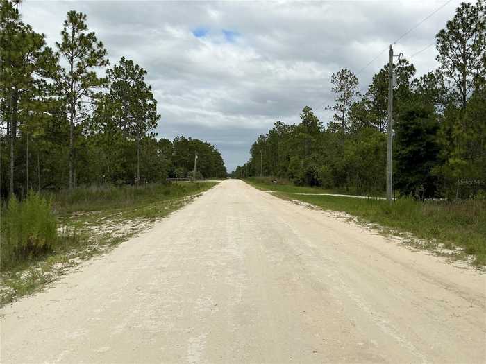 photo 4: LOT 11 SW 73RD STREET, DUNNELLON FL 34432