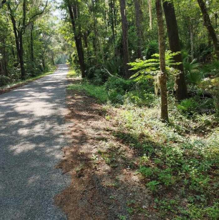 photo 1: TBD NW 200TH STREET, MICANOPY FL 32667