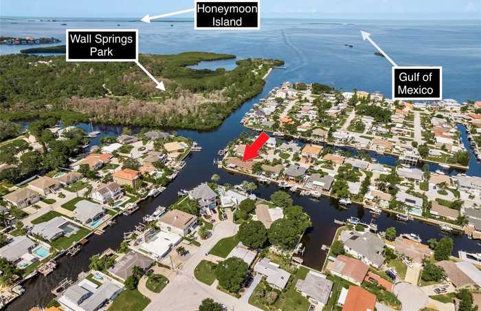 photo 2: 319 MORNINGSIDE DRIVE, PALM HARBOR FL 34683