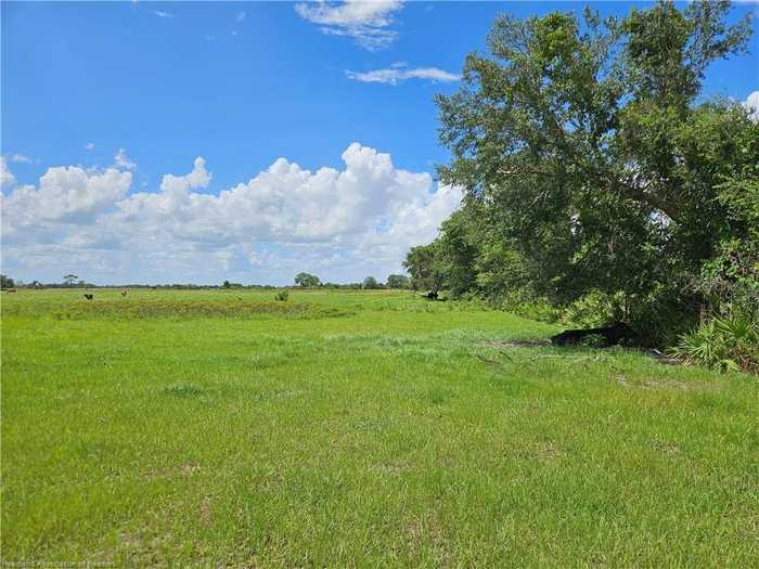 photo 1: 1000 CATTLE RANCH ROAD, VENUS FL 33960