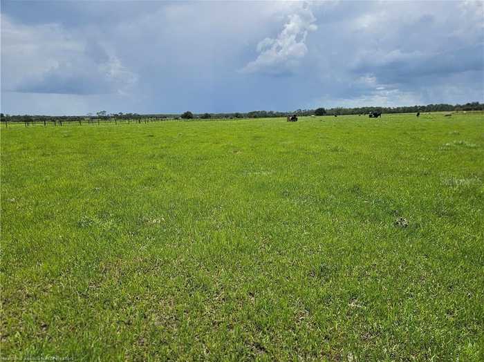 photo 8: 1000 CATTLE RANCH ROAD, VENUS FL 33960