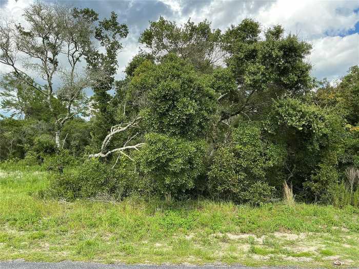 photo 1: LOT 44 SW 39TH TERRACE, OCALA FL 34473