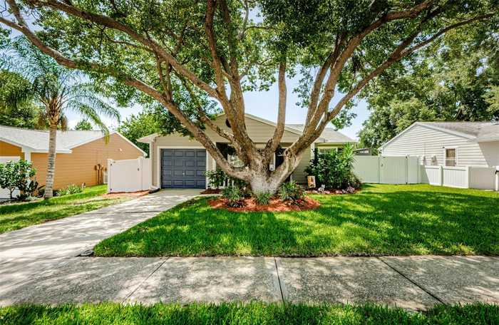 photo 1: 2768 DELANEY COURT, PALM HARBOR FL 34684