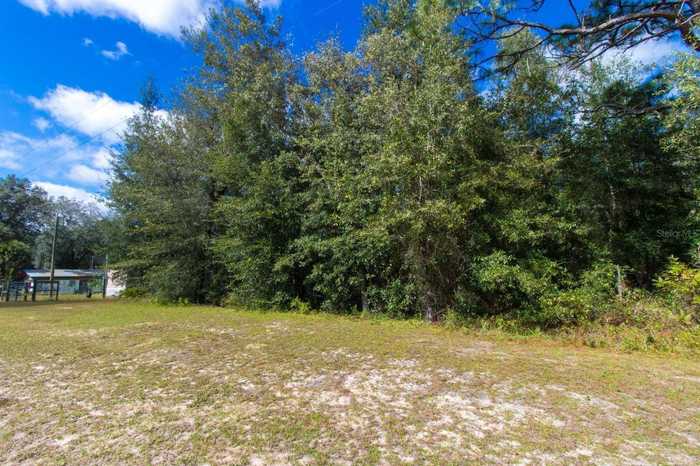 photo 12: Lot #16 NE 63RD PLACE E, WILLISTON FL 32696