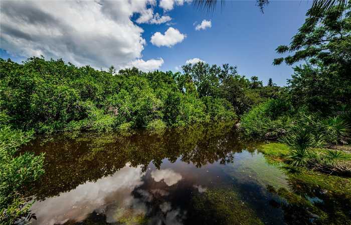 photo 60: 1142 WEYBRIDGE LN, DUNEDIN FL 34698