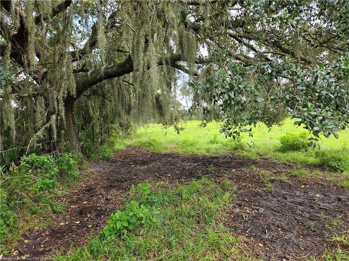 photo 6: 1001 CATTLE RANCH ROAD, VENUS FL 33960