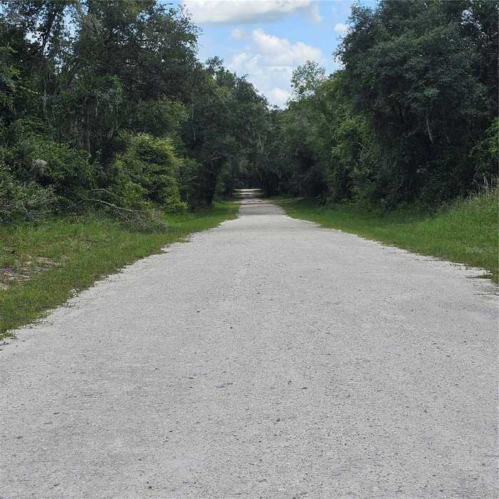 photo 6: SUDAN DRIVE, WEBSTER FL 33597