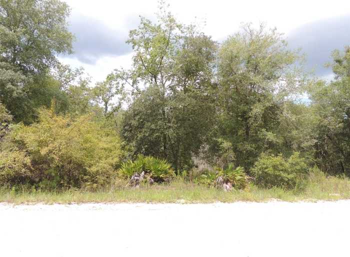 photo 1: tbd NE 137TH COURT, WILLISTON FL 32696