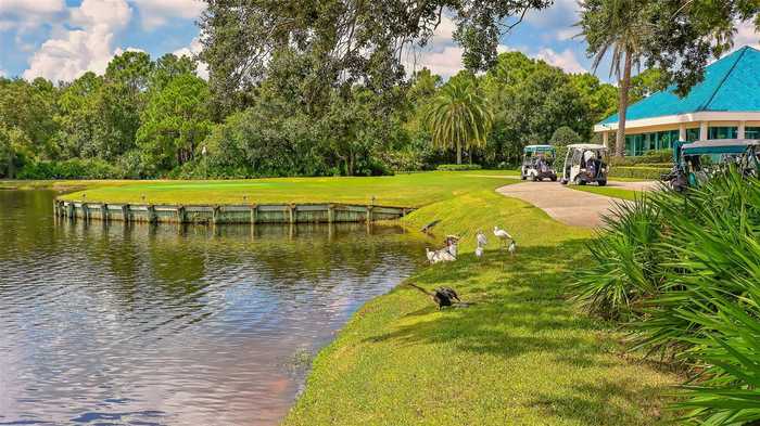 photo 78: 7302 KENSINGTON COURT, UNIVERSITY PARK FL 34201