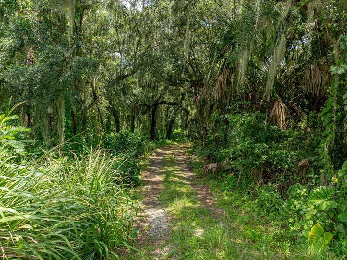 photo 26: TIMBERLANE ROAD, LAKE WALES FL 33898