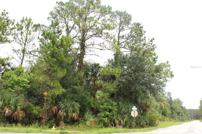 photo 1: W STATE ROAD 40, PIERSON FL 32180