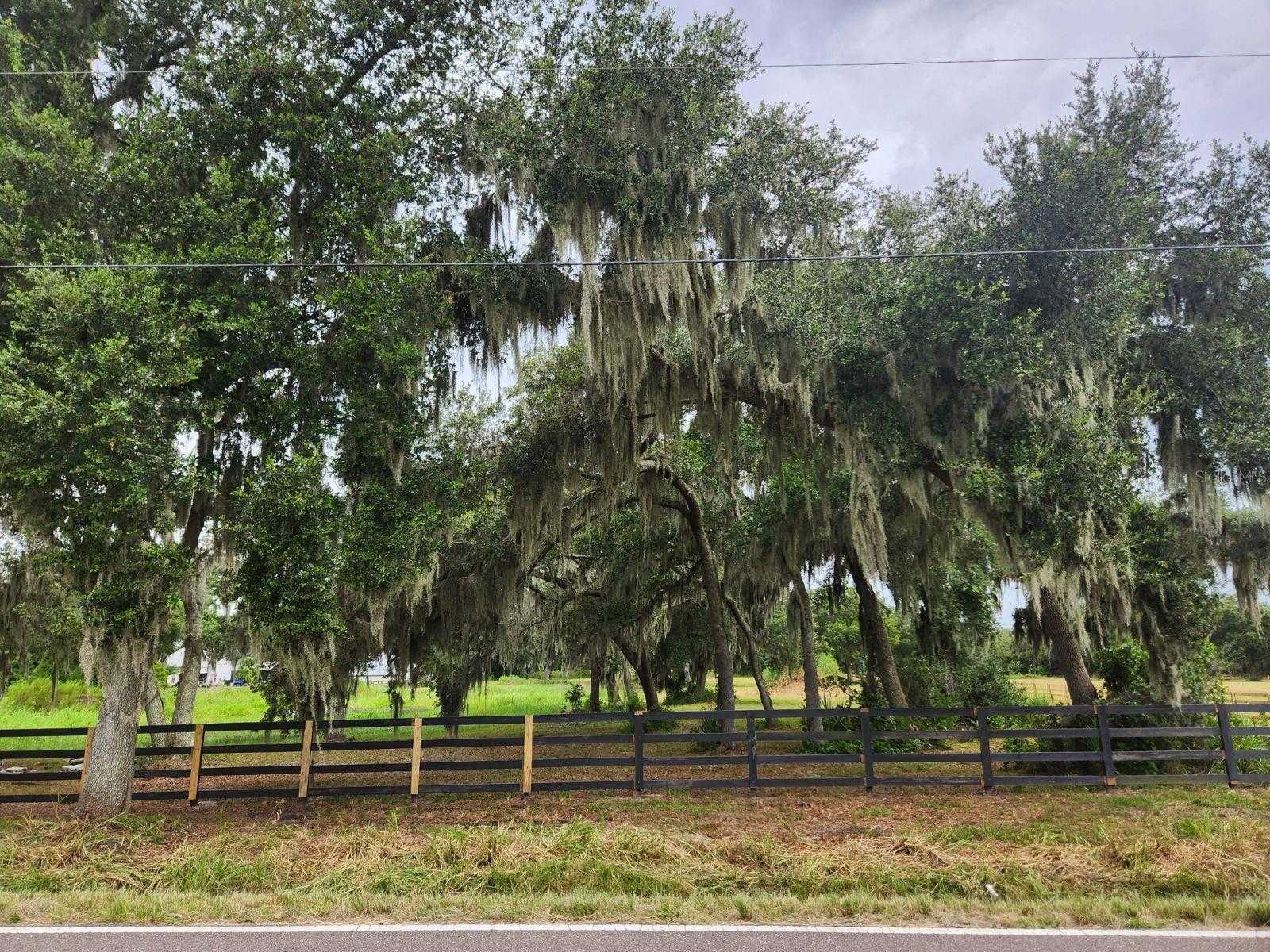 photo 3: GALLAGHER ROAD, PLANT CITY FL 33565