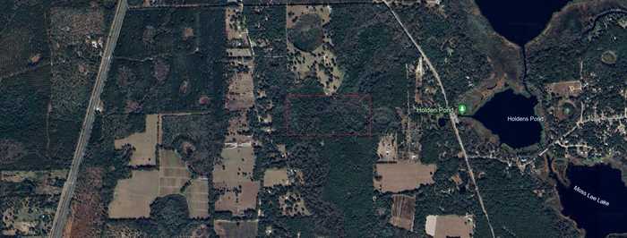 photo 4: TBD SE 225TH DRIVE, HAWTHORNE FL 32640