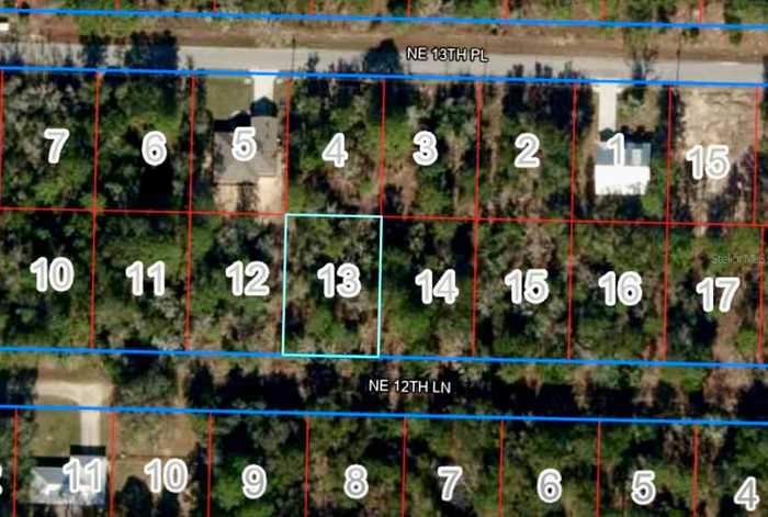 photo 1: Lot 13 NE 12TH LN, WILLISTON FL 32696