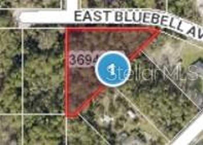 photo 1: E BLUEBELL AVENUE, EUSTIS FL 32736