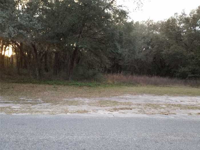 photo 9: LOT 1 SW HWY 484/SW 128 AVENUE, DUNNELLON FL 34432