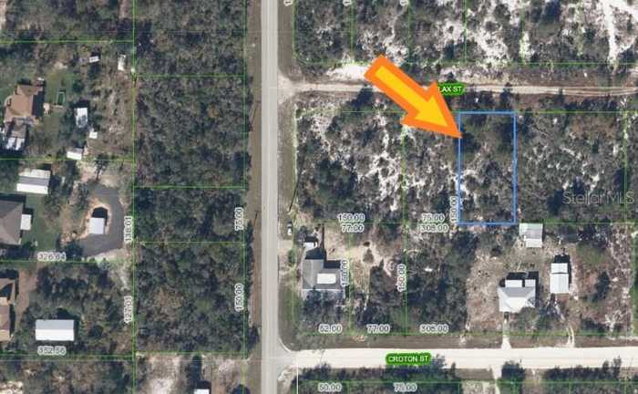 photo 2: 1007 FLAX STREET, LAKE PLACID FL 33852