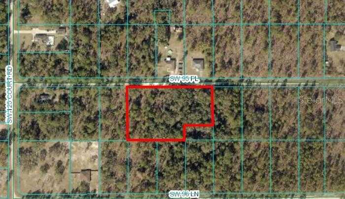 photo 2: SW 95TH PL, DUNNELLON FL 34431