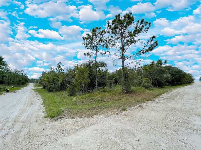 photo 1: 14250 SE 2ND STREET, WILLISTON FL 32696