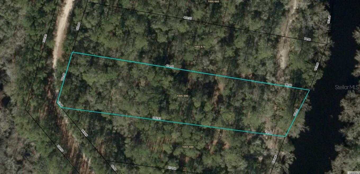 photo 3: LOT 37 SUWANNEE RIVER HEIGHTS SUB, WHITE SPRINGS FL 32096