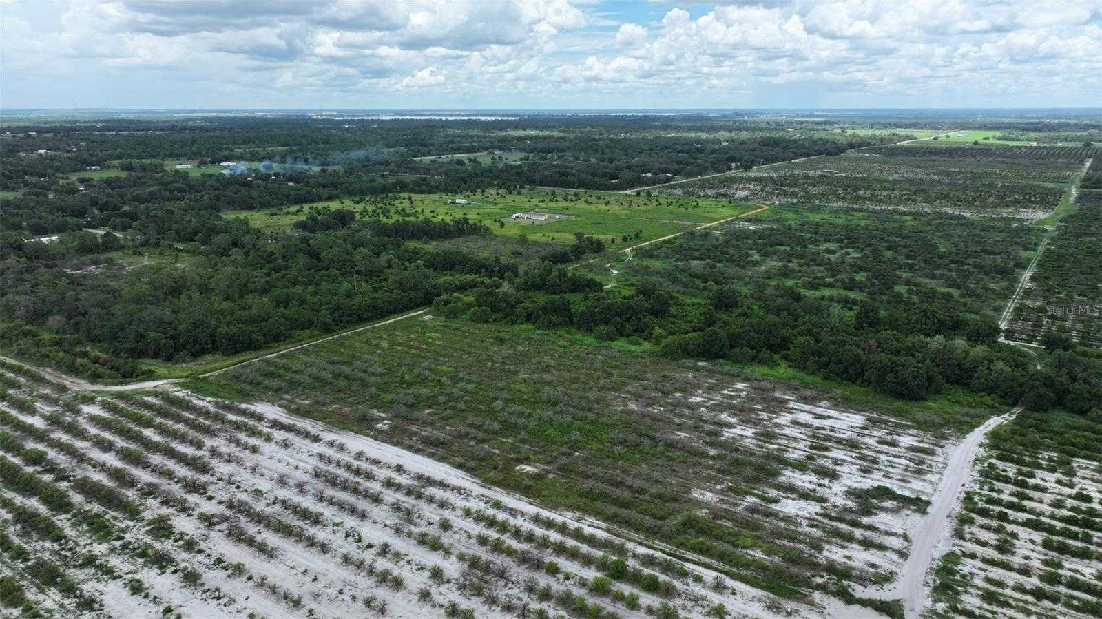 photo 2: OTTO POLK ROAD, FROSTPROOF FL 33843