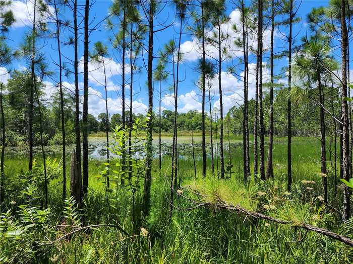 photo 16: SEAFARER WAY, ORLANDO FL 32817