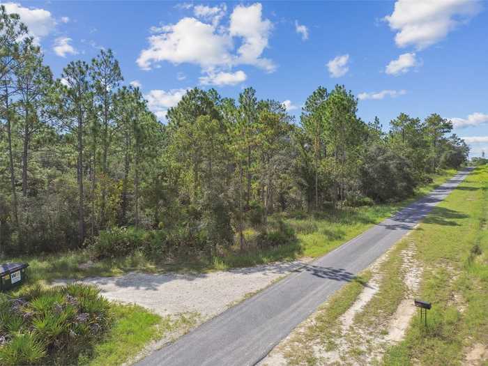 photo 1: 7281 N HELSINKI POINT, DUNNELLON FL 34433